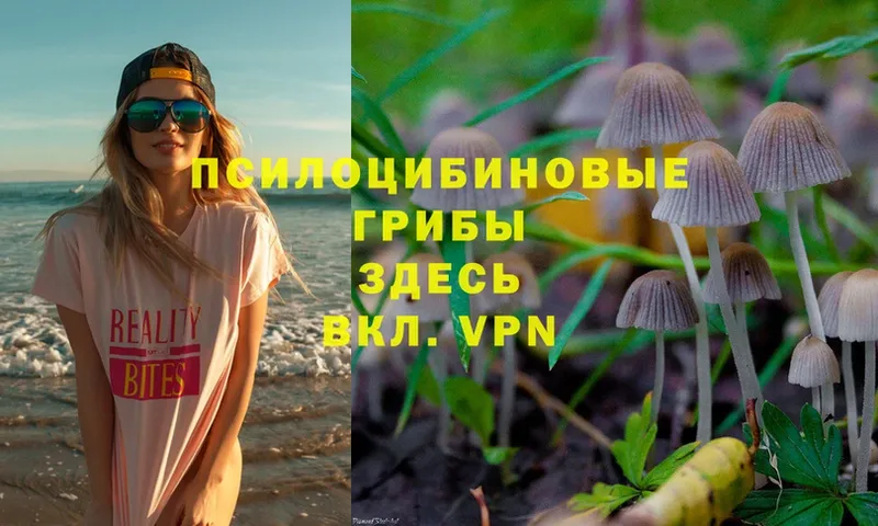 Псилоцибиновые грибы Magic Shrooms  где найти   Уяр 